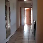 Stokrotka