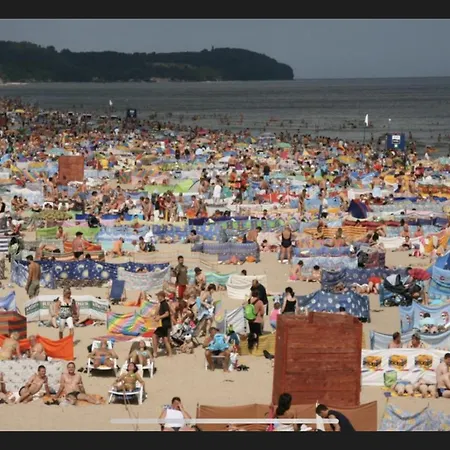 Stokrotka * Władysławowo