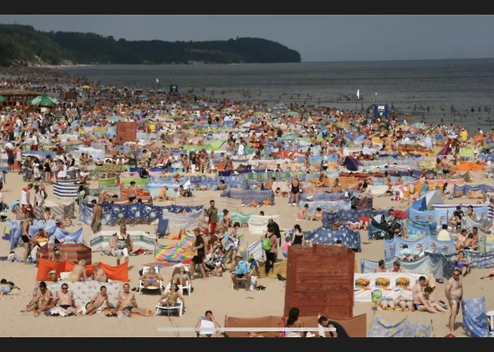 Stokrotka * Władysławowo